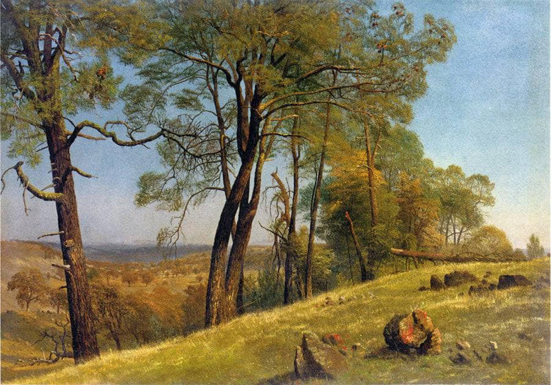 Landscape, Rockland County, California by Albert Bierstadt — Oil Painting Reproduction