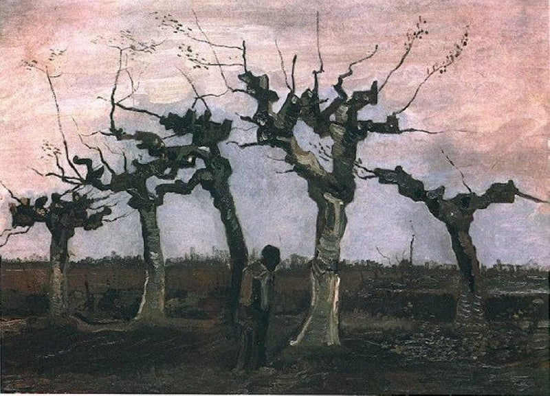 Landscape with Pollard Willows by Vincent van Gogh — Oil Painting Reproduction