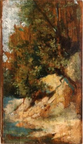 Landscape with rocks in apartment