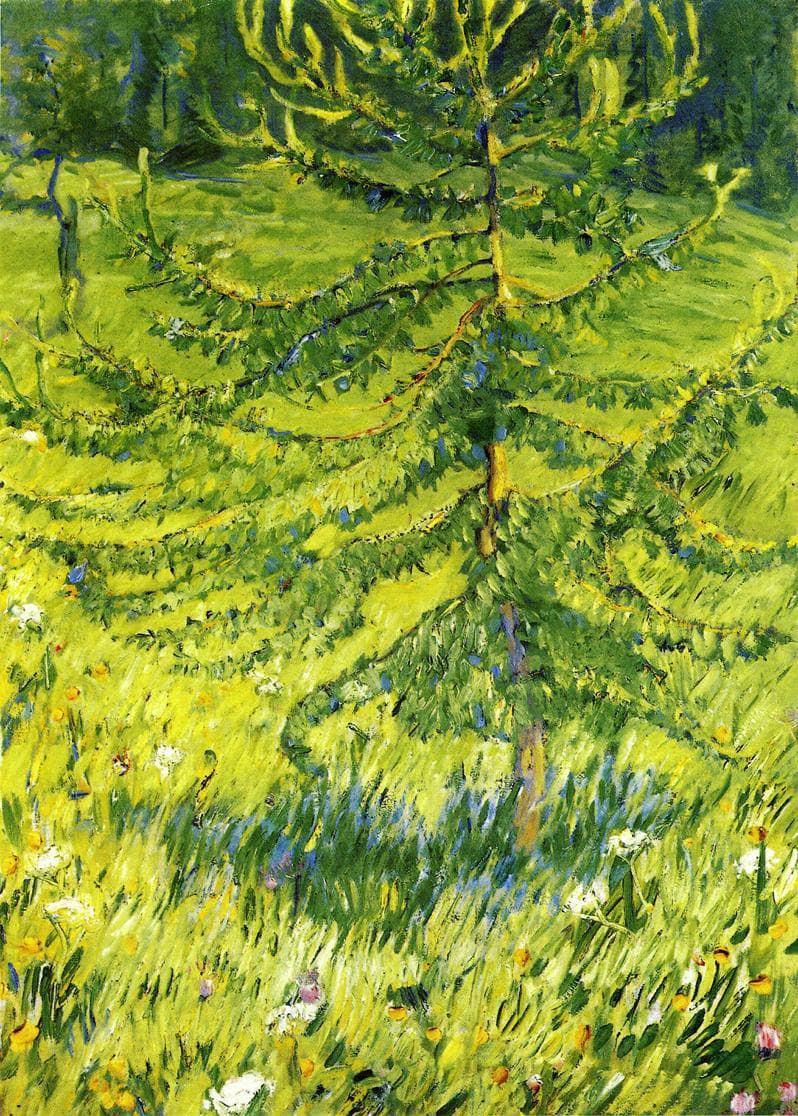 Larch Sapling by Franz Marc — Oil Painting Reproduction