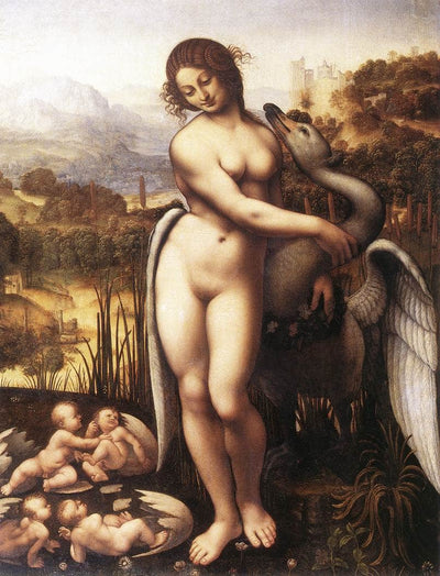 Leda and the Swan in study