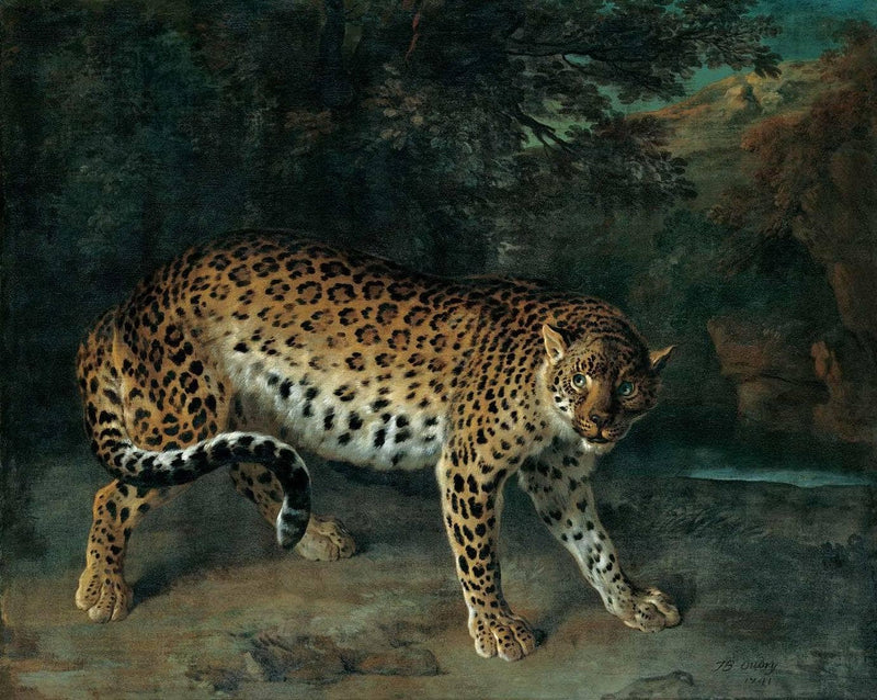 Leopardess by Jean-Baptiste Oudry — Oil Painting Reproduction