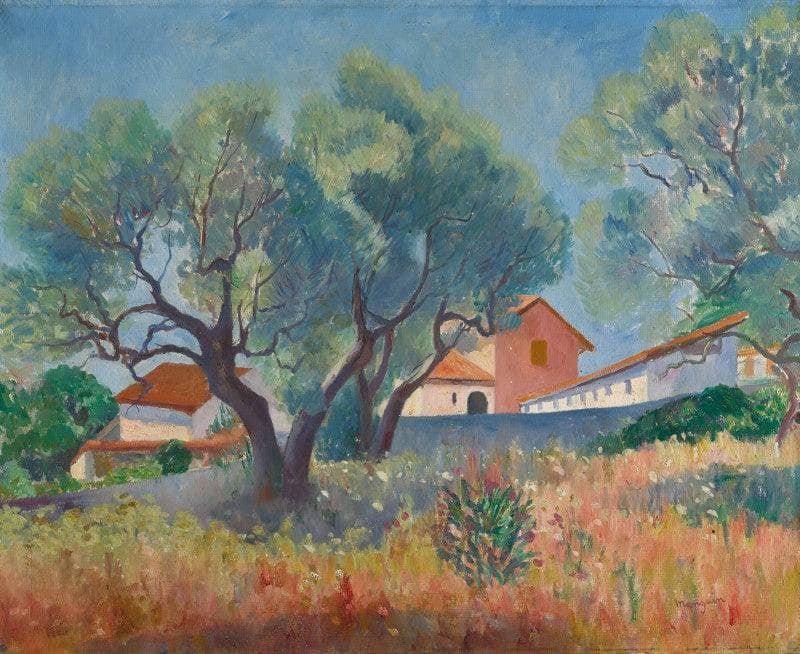 Les Oliviers À Sanary by Henri Manguin — Oil Painting Reproduction