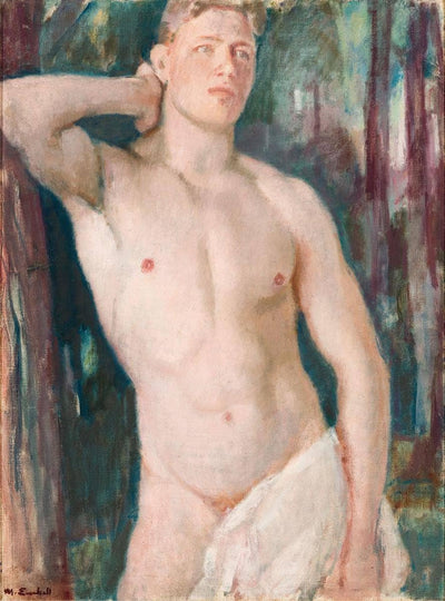 Young Nude Male in dining room
