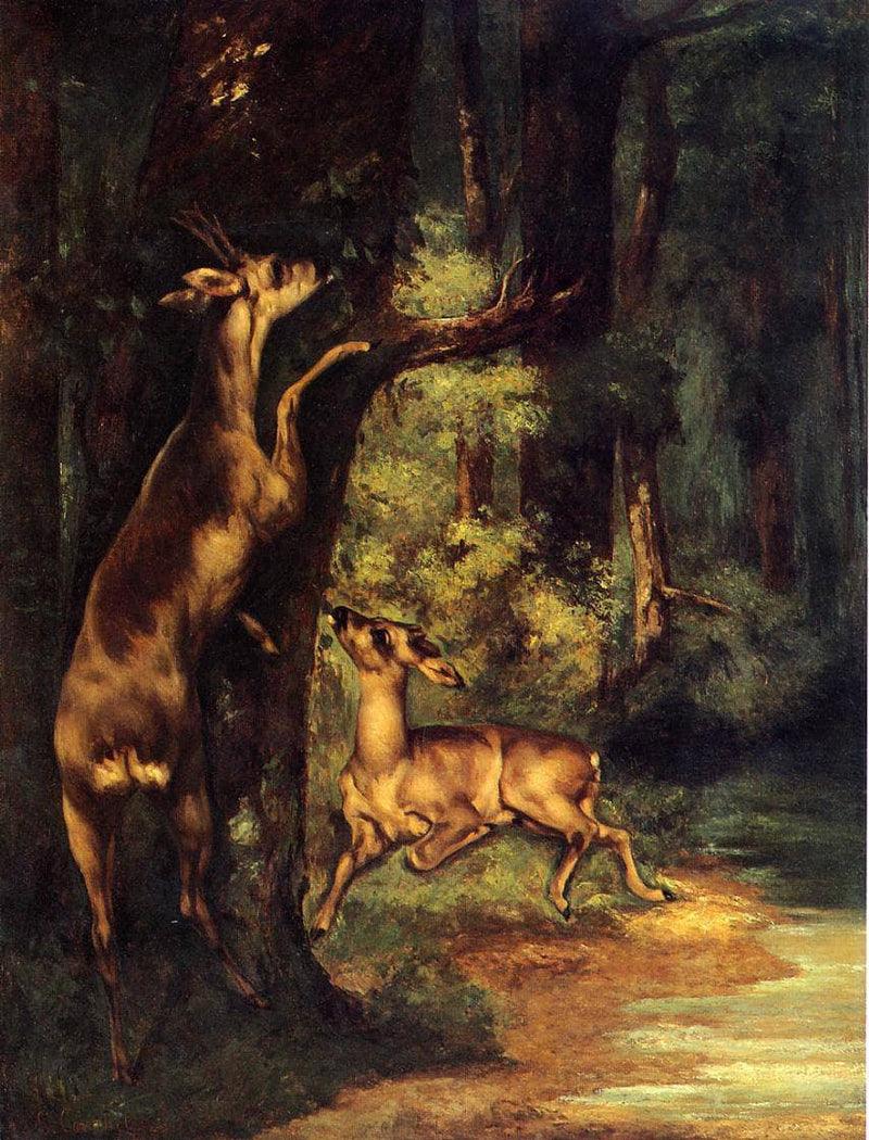 Male and Female Deer in the Woods by Gustave Courbet — Oil Painting Reproduction