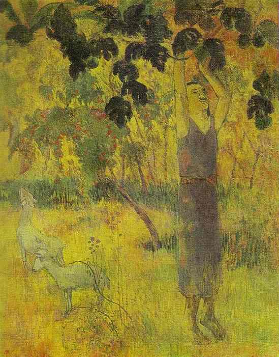 Man Picking Fruit from a Tree by Paul Gauguin — Oil Painting Reproduction