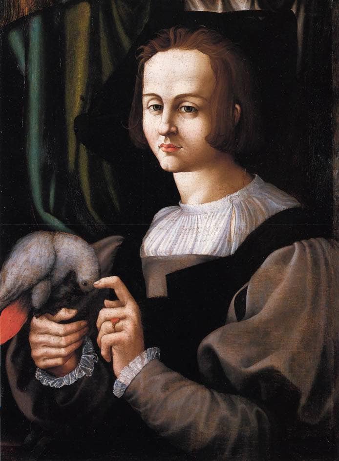 Man with a Parrot by Francesco Melzi — Oil Painting Reproduction