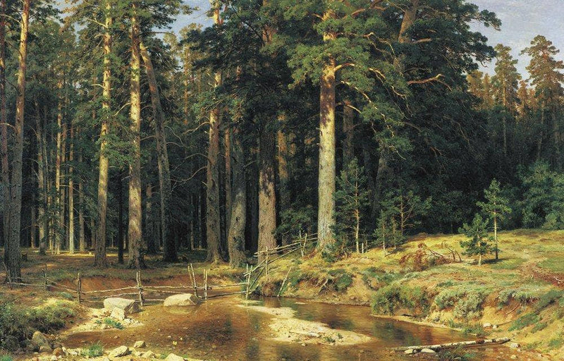 Mast Tree Grove by Ivan Shishkin — Oil Painting Reproduction