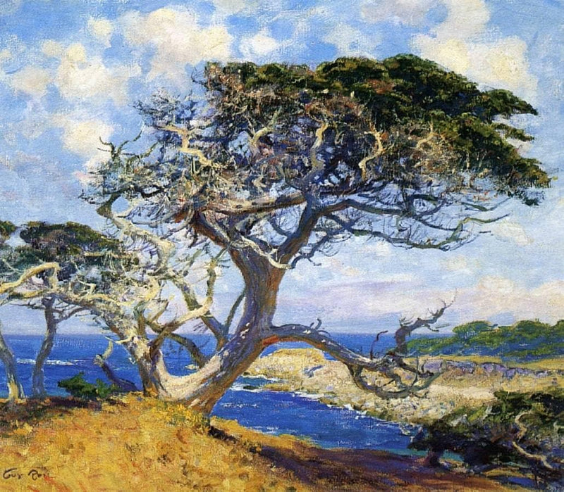 Monterey Cypress by Guy Rose — Oil Painting Reproduction