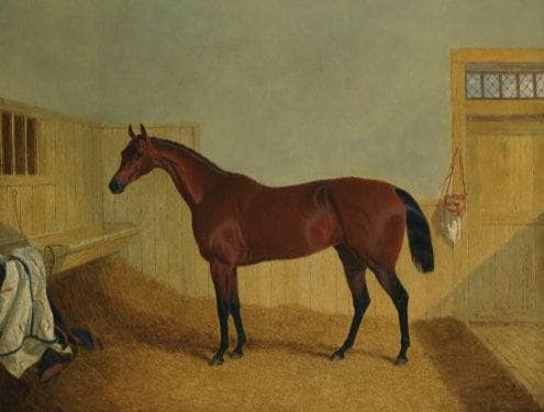 Mr. William Orde's Bay Filly 'beeswing' in a Stable by John Frederick Herring Sr. — Oil Painting Reproduction