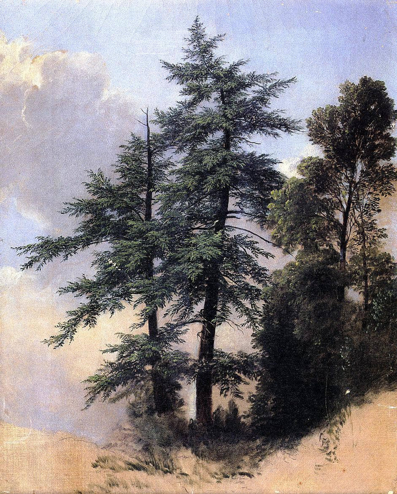 nature Study, Trees, Newburgh, New York by Asher Brown Durand — Oil Painting Reproduction