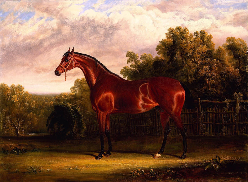 Negotiator, a Bay Horse in a Landscape by John Frederick Herring Sr. — Oil Painting Reproduction