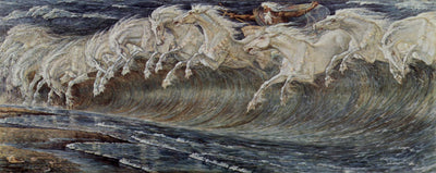 Neptune's Horses in kitchen
