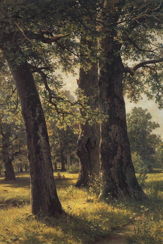 Oaks by Ivan Shishkin — Oil Painting Reproduction