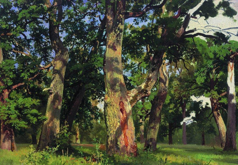 Oaks. Evening by Ivan Shishkin — Oil Painting Reproduction