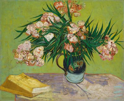 Oleanders and Books in hallway