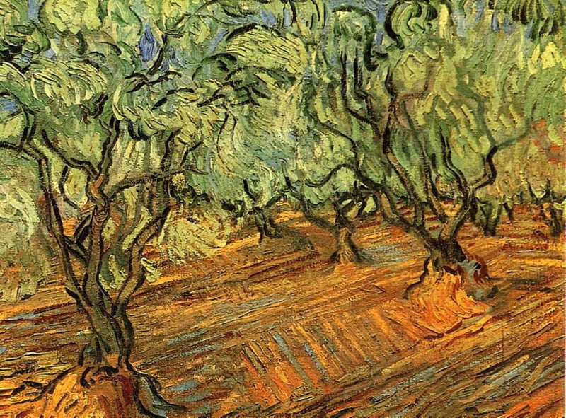 Olive Grove - Bright Blue Sky by Vincent van Gogh — Oil Painting Reproduction