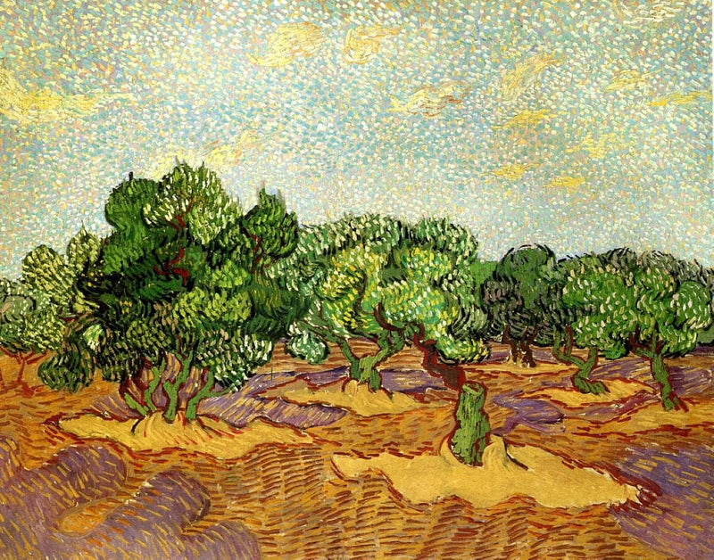 Olive Grove - Pale Blue Sky by Vincent van Gogh — Oil Painting Reproduction