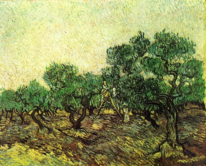 Olive Picking by Vincent van Gogh — Oil Painting Reproduction