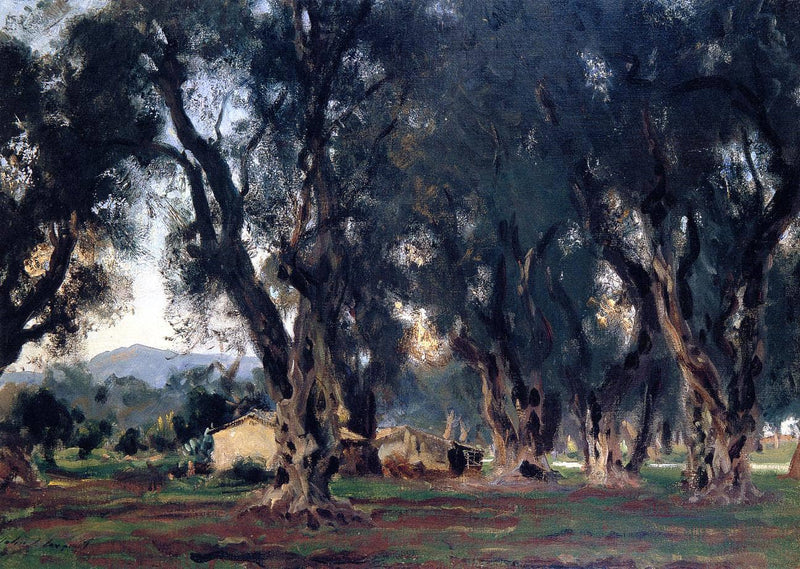 Olive Trees at Corfu by John Singer Sargent — Oil Painting Reproduction