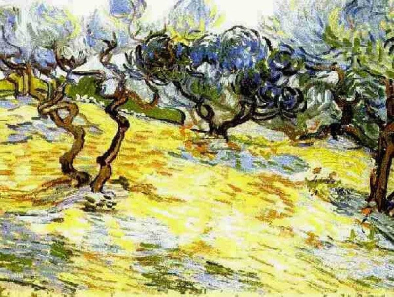 Olive Trees Bright Blue Sky by Vincent van Gogh — Oil Painting Reproduction