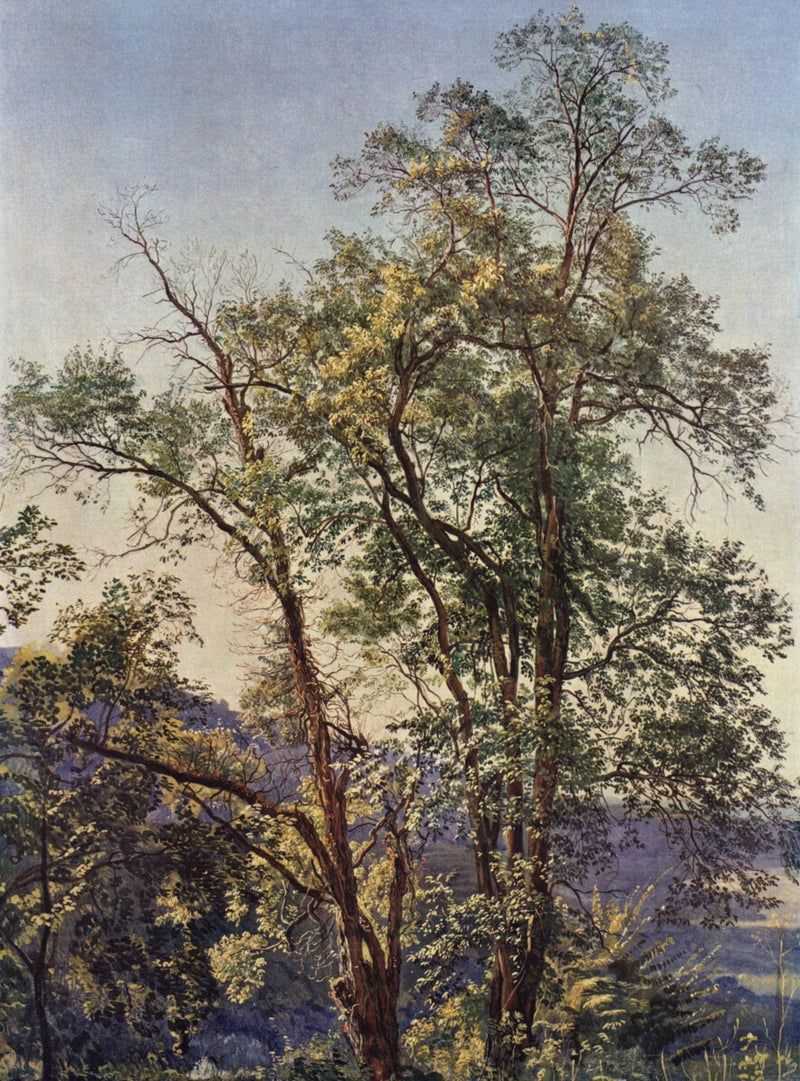 Olive trees by Alexander Ivanov — Oil Painting Reproduction