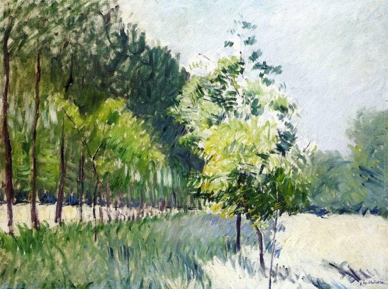 Orchard and avenue of trees by Gustave Caillebotte — Oil Painting Reproduction