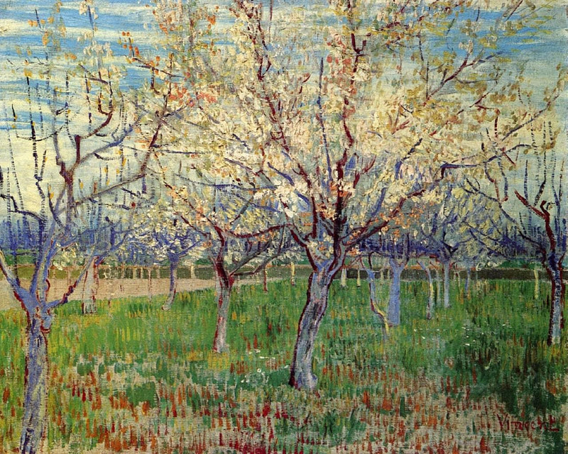 Orchard with Blossoming Apricot Trees by Vincent van Gogh — Oil Painting Reproduction