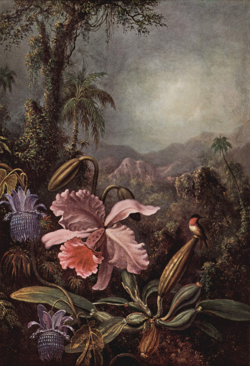 Orchid, Passion Flowers and Hummingbird by Martin Johnson Heade — Oil Painting Reproduction