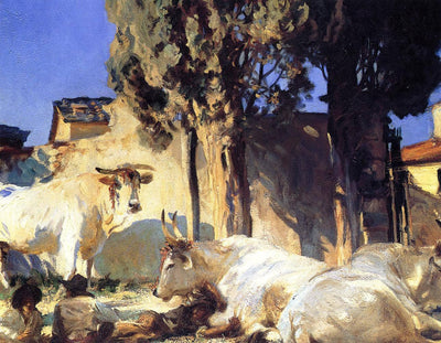 Oxen Resting in dining room
