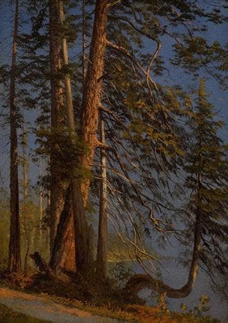 Park at Vancouver by Albert Bierstadt — Oil Painting Reproduction