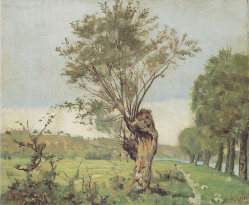 Pastures at the Jonction at Geneva by Ferdinand Hodler — Oil Painting Reproduction