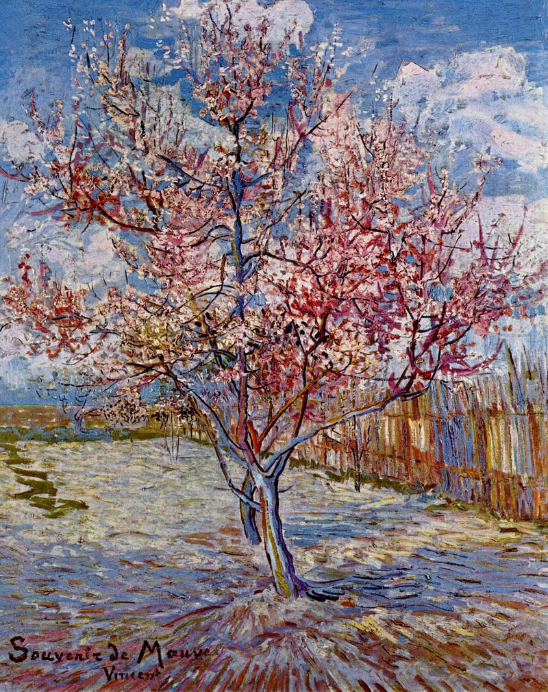 Peach Tree in Bloom (in memory of Mauve) by Vincent van Gogh — Oil Painting Reproduction