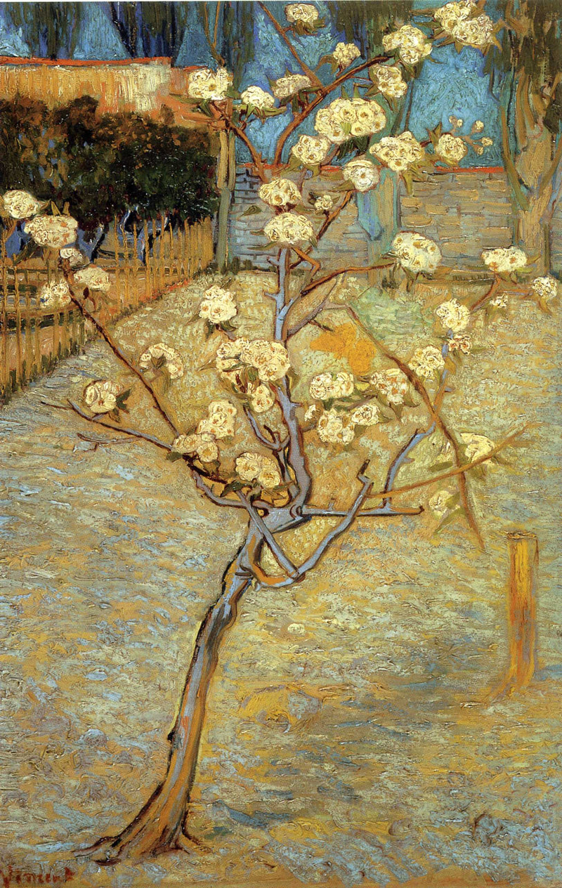 Pear Tree in Blossom by Vincent van Gogh — Oil Painting Reproduction