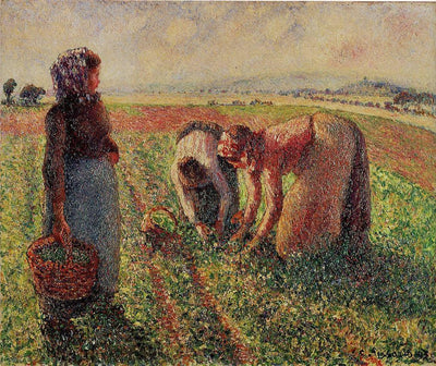Picking Peas in master bedroom