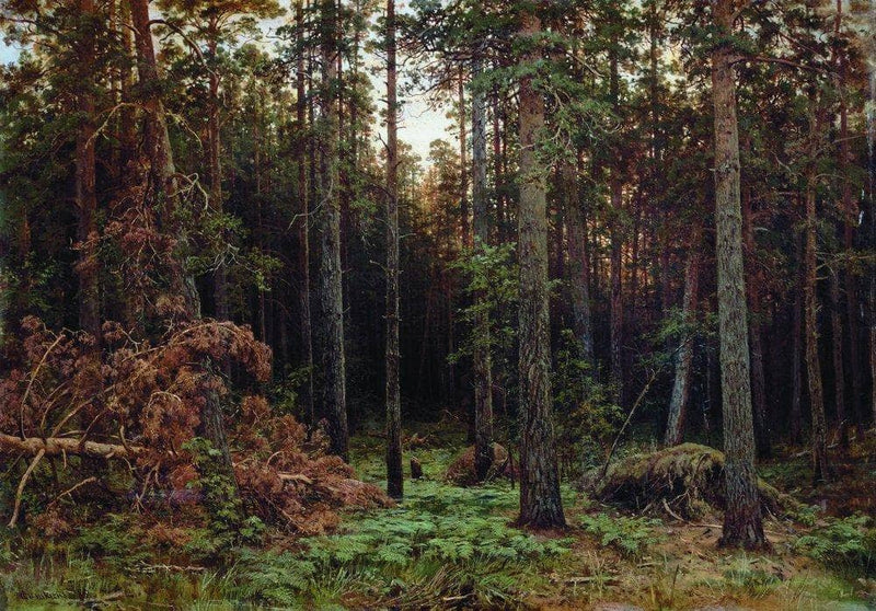 Pine forest by Ivan Shishkin — Oil Painting Reproduction
