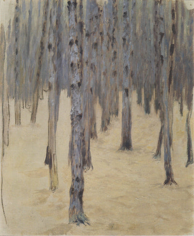 Pine forest in winter in entryway