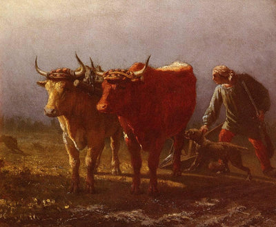 Plowing in master bedroom