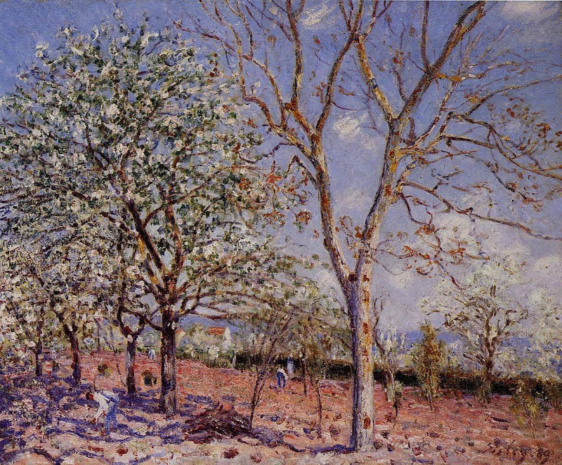 Plum and Walnut Trees in Spring by Alfred Sisley — Oil Painting Reproduction