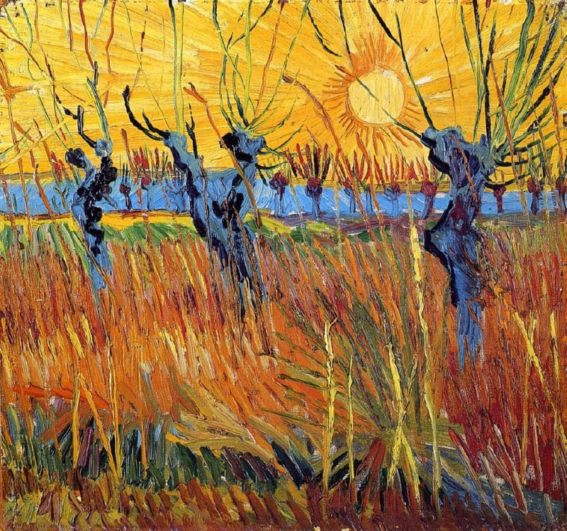 Pollard Willows and Setting Sun by Vincent van Gogh — Oil Painting Reproduction