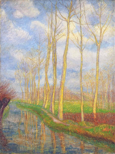 Poplars in apartment