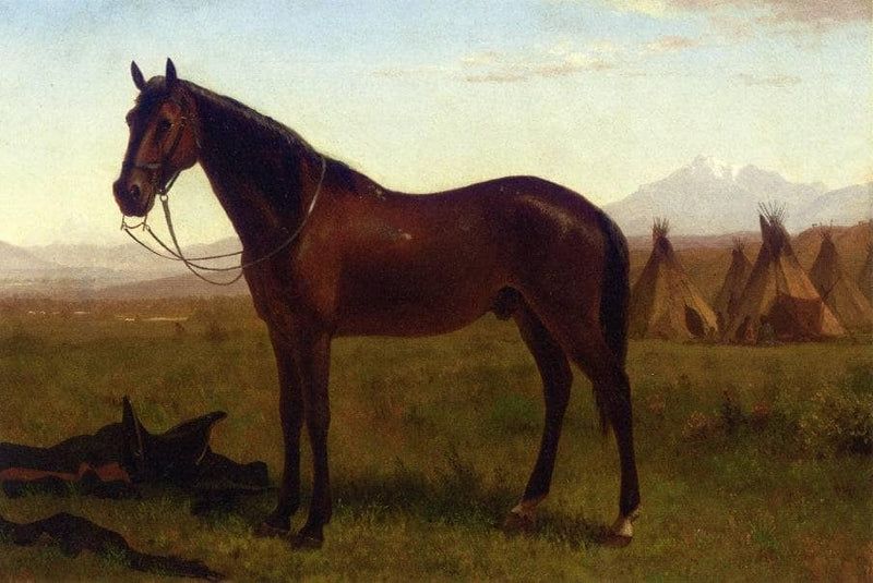Portrait of a Horse by Albert Bierstadt — Oil Painting Reproduction