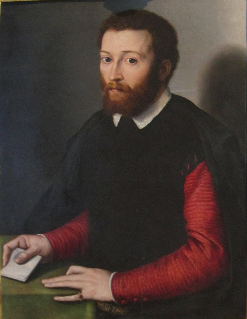 Portrait of a Man Holding a Letter by Francesco de' Rossi (Francesco Salviati), "Cecchino" — Oil Painting Reproduction