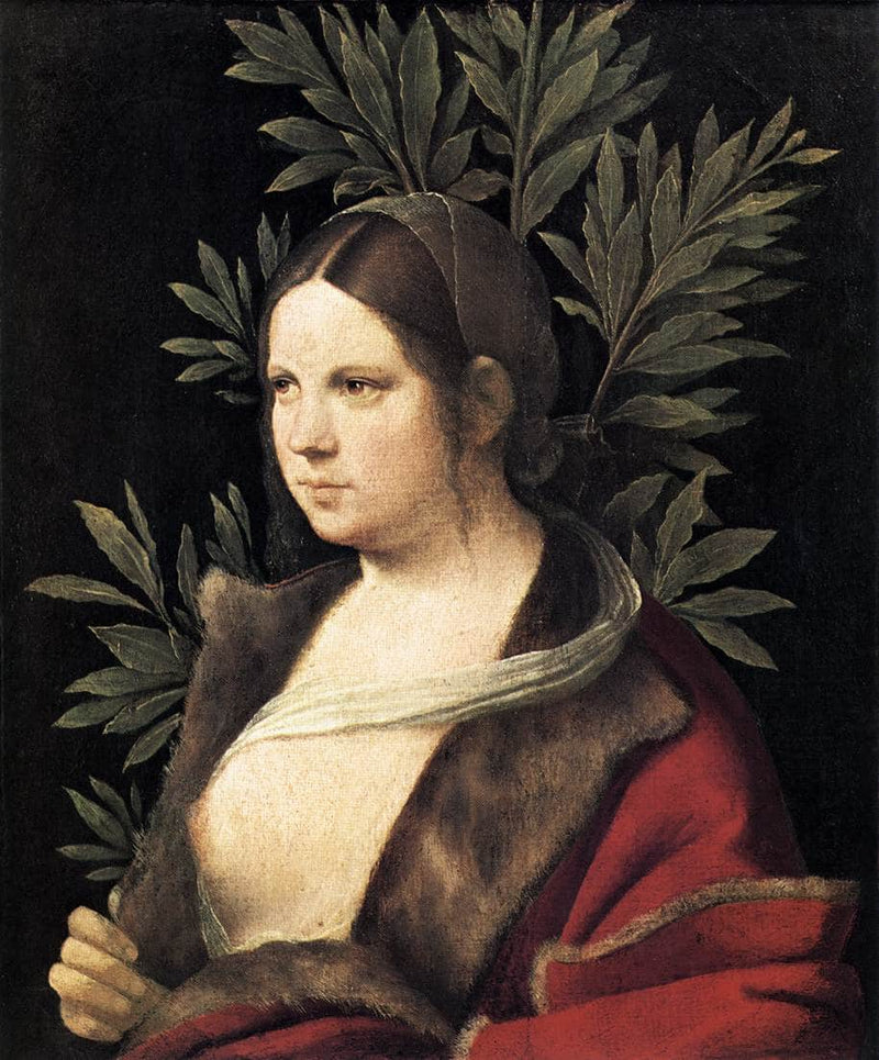 Portrait of a Young Woman (Laura) by Giorgione — Oil Painting Reproduction