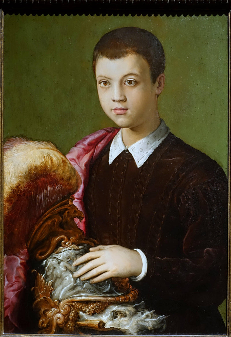Portrait of an Aristocratic Youth (possibly Gian Battista Salviati) by Francesco de' Rossi (Francesco Salviati), "Cecchino" — Oil Painting Reproduction