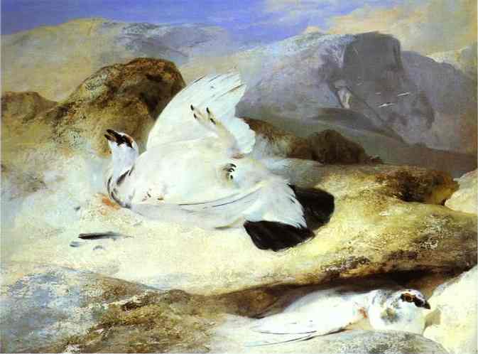 Ptarmigan by Edwin Henry Landseer — Oil Painting Reproduction