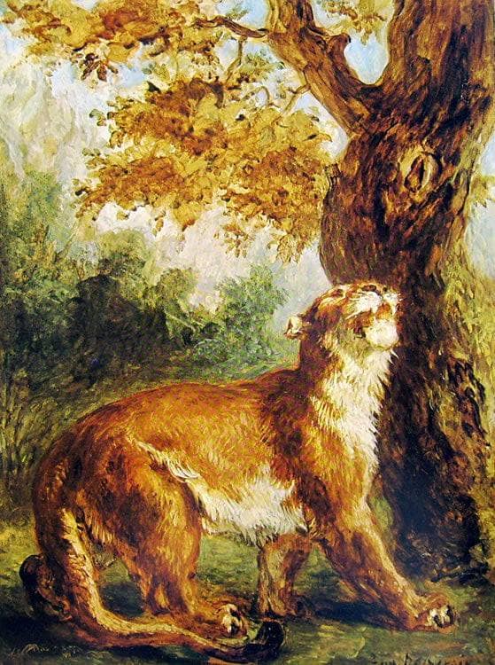 Puma (Lioness watching prey) by Eugene Delacroix — Oil Painting Reproduction