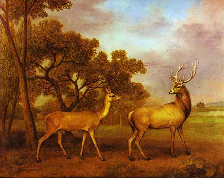 Red Deer Stag and Hind by George Stubbs — Oil Painting Reproduction