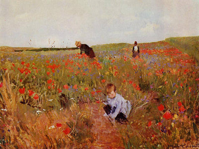 Red poppies in living room