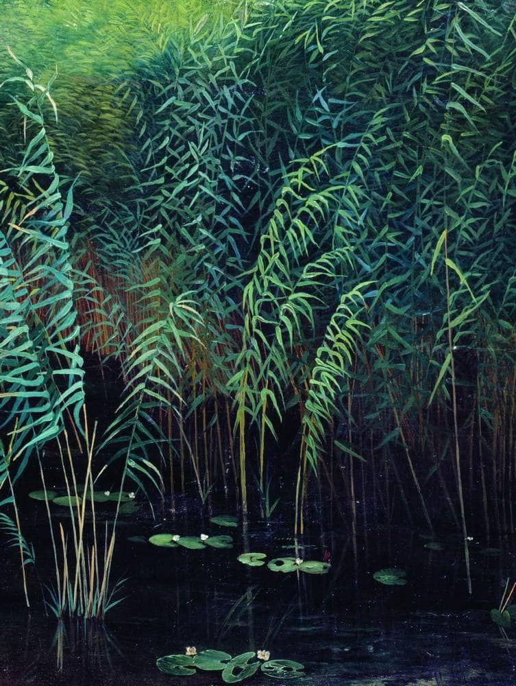 Reeds and water lilies by Isaac Levitan — Oil Painting Reproduction